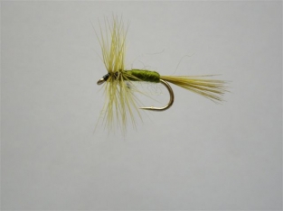 Size 16 Midge Olive